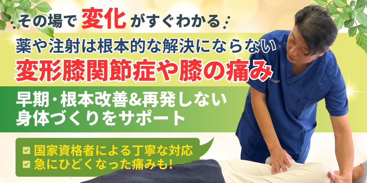 薬や注射は根本的な解決にならない 変形膝関節症や膝の痛み 早期·根本改善&再発しない 身体づ﻿くりをサポート